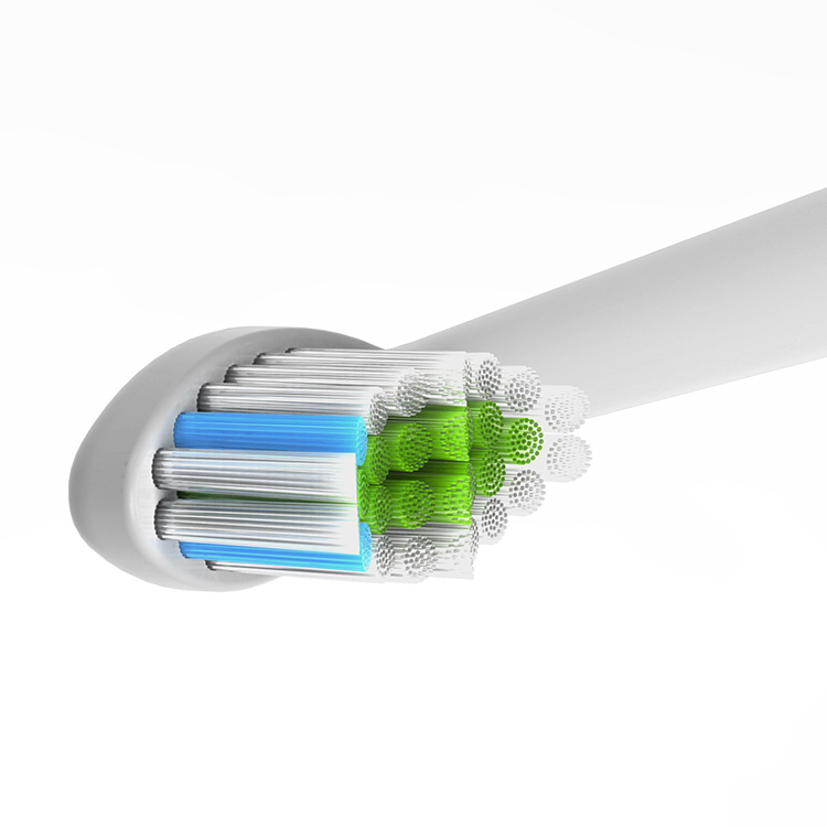 Adult Toothbrush