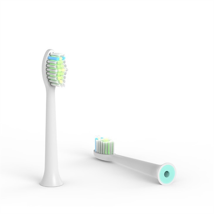 Replacement Sonic Toothbrush Head